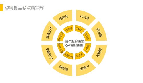 什么是全網數字化營銷運營？點精穩品時代的企業增長新引擎