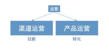 村里來了新運營 當女村官踏入互聯網浪潮